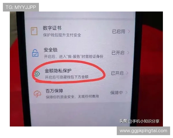 必赢旗舰厅注册平台全面支持多种支付方式，保障您的资金安全与便捷操作